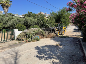 Μαραθώνας:  Εντατικές αποκομιδές κλαδιών 30 Ιουνίου, 1, 2 και 4 /7 από την Υπηρεσία Καθαριότητας