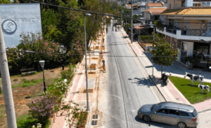 Πρόκειται για μια εκτεταμένη αστική παρέμβαση σε έναν δρόμο με αυξημένη κυκλοφορία και πολλαπλές λειτουργίες.