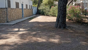 Λυκόβρυση Πεύκη: Καθαρισμός του γήπεδο ποδοσφαίρου Πεύκης