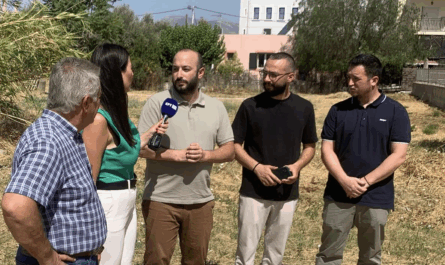 Σε ρεπορτάζ της ΕΡΤ ο Δήμος Λυκόβρυσης Πεύκης παρουσίασε τις Ενέργειες που έκανε για τον έλεγχο και την επιβολή προστίμων για τα ακαθάριστα οικόπεδα.