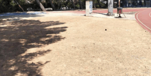 Λυκόβρυση Πεύκη: Καθαρισμός του γήπεδο ποδοσφαίρου Πεύκης