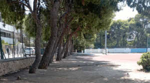 Λυκόβρυση Πεύκη: Καθαρισμός του γήπεδο ποδοσφαίρου Πεύκης