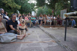 Χαλάνδρι: Πάνω από 40 συμμετοχές στην 6η εικαστική συνάντηση του +oikismos: Οι «Κατεδαφίσεις»