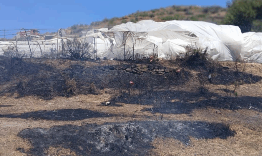 Πεντελη: Φωτιά σε φυτώριο στη λεκάνη των Καλλισίων κοντά στο εξωκλήσι του Αγίου Νικολάου