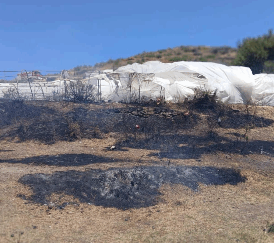 Πεντελη: Φωτιά σε φυτώριο στη λεκάνη των Καλλισίων κοντά στο εξωκλήσι του Αγίου Νικολάου