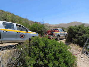 Πεντελη: Φωτιά σε φυτώριο στη λεκάνη των Καλλισίων κοντά στο εξωκλήσι του Αγίου Νικολάου Πεντελη: Φωτιά σε φυτώριο στη λεκάνη των Καλλισίων κοντά στο εξωκλήσι του Αγίου Νικολάου