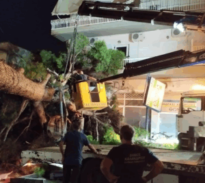 Χαλάνδρι: Ολοκληρώθηκε η απομάκρυνση δέντρου που έπεσε από τους δυνατούς ανέμους