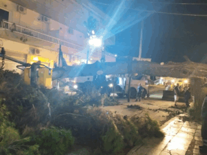 Χαλάνδρι: Ολοκληρώθηκε η απομάκρυνση δέντρου που έπεσε από τους δυνατούς ανέμους