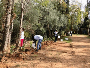 Αυτήν τη φορά πραγματοποιήθηκαν 120 νέες φυτεύσεις στο πάρκο της Ρεματιάς. Συγκεκριμένα φυτεύθηκαν πικροδάφνες στο κάτω τμήμα του πάρκου κοντά στο ρέμα.