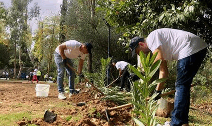 Βριλήσσια: Δράση φύτευσης – Περισσότερο πράσινο στο πάρκο της Ρεματιάς
