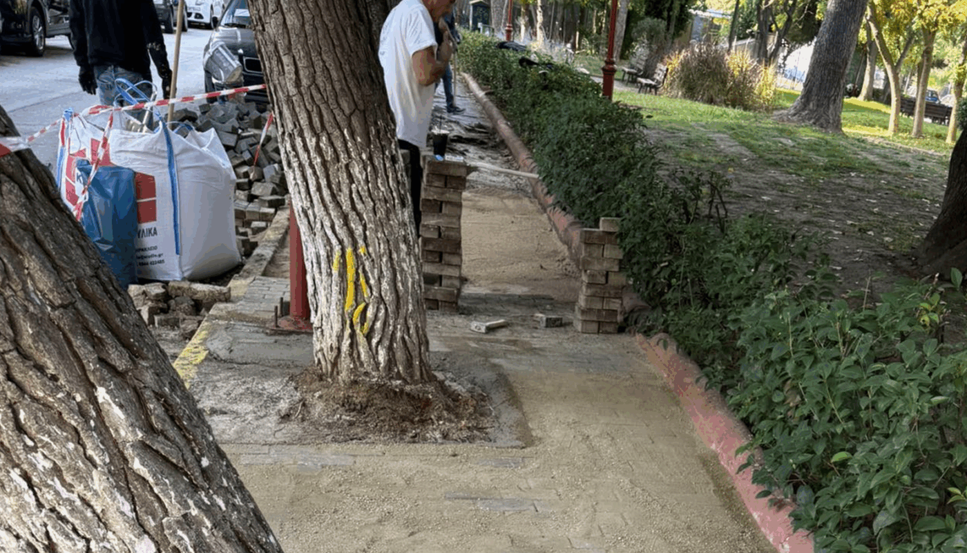 Ηρακλείου Αττικής: « Πλατεία Μακεδονίας» Ο Δήμος με έργο επεμβαίνει περιμετρικά καθώς οι ρίζες των δέντρων είχαν δημιουργήσει προβλήματα