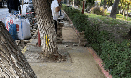 Ηρακλείου Αττικής: « Πλατεία Μακεδονίας» Ο Δήμος με έργο επεμβαίνει περιμετρικά καθώς οι ρίζες των δέντρων είχαν δημιουργήσει προβλήματα