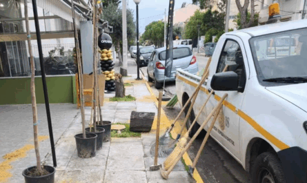 Νέα δέντρα στην οδό Αγίου Νεκταρίου, στην Καναπίτσα