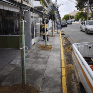 Νέα δέντρα στην οδό Αγίου Νεκταρίου, στην Καναπίτσα Νέα δέντρα στην οδό Αγίου Νεκταρίου, στην Καναπίτσα