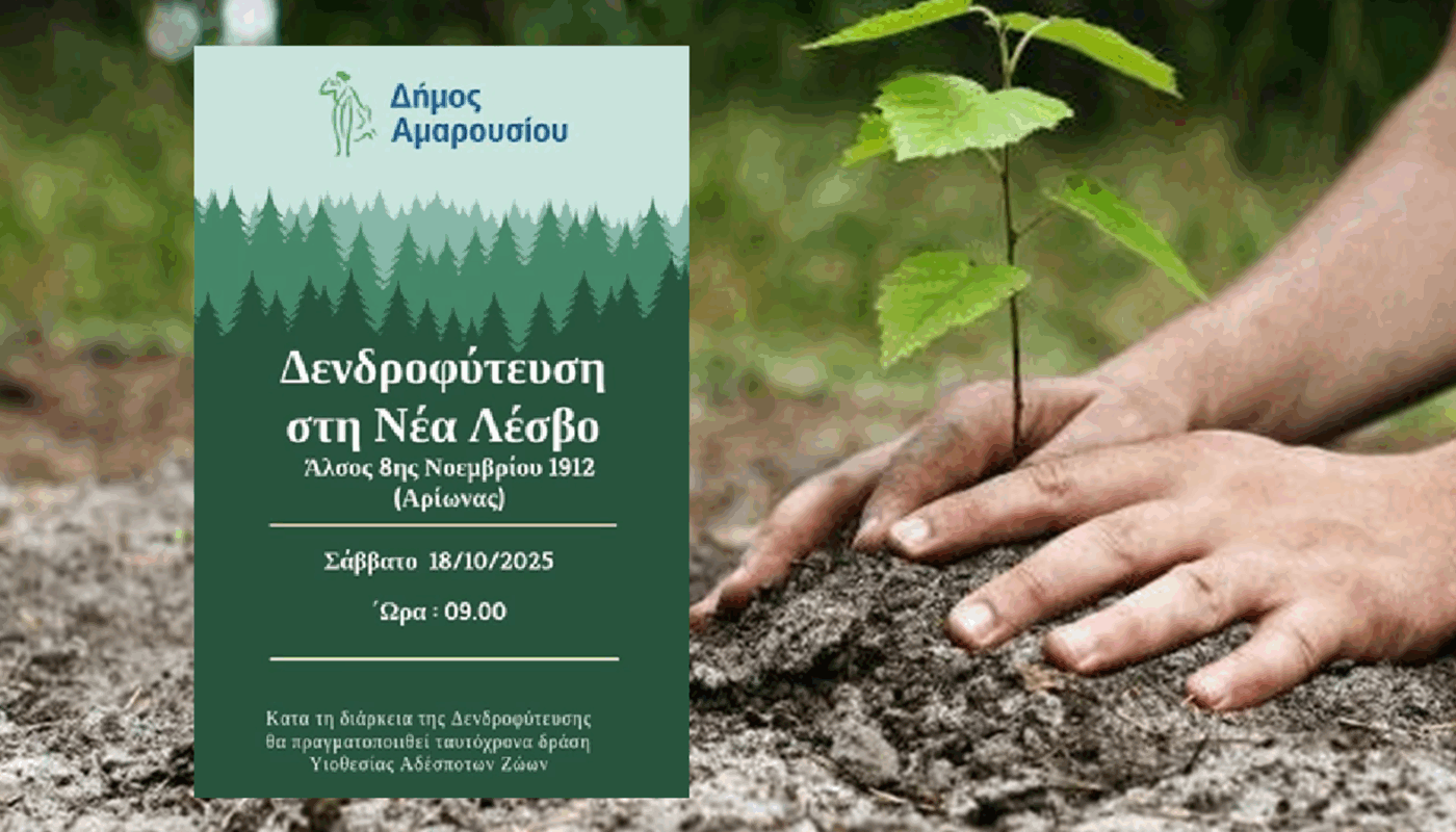 Η πρωτοβουλία εντάσσεται στο συνολικό σχεδιασμό  αναβάθμισης του αστικού πρασίνου και  ενίσχυσης της περιβαλλοντικής ανθεκτικότητας της πόλης.