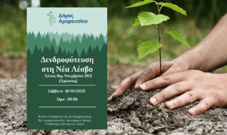 Η πρωτοβουλία εντάσσεται στο συνολικό σχεδιασμό  αναβάθμισης του αστικού πρασίνου και  ενίσχυσης της περιβαλλοντικής ανθεκτικότητας της πόλης.