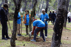 Μαρούσι: Δράση δενδροφύτευσες στη Νέα Λέσβο Αμαρουσίου για την ενίσχυση του αστικού πρασίνου