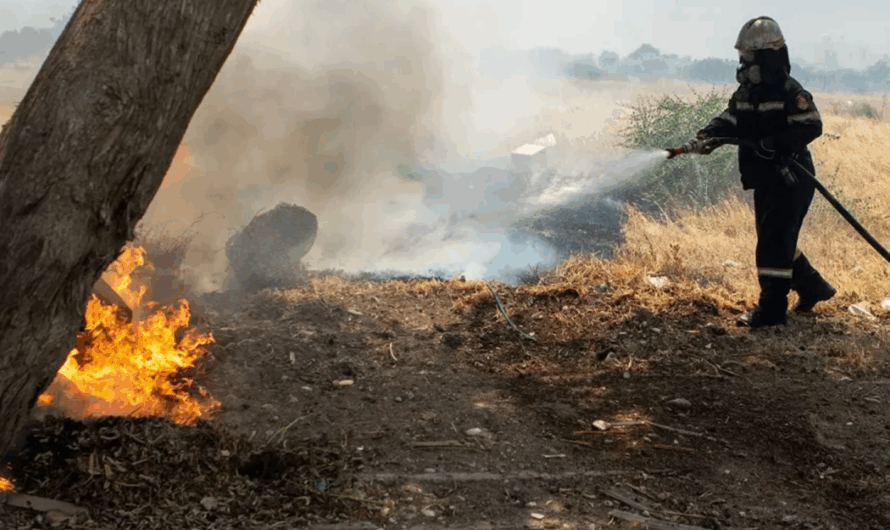 Μαρκόπουλο: Μικρής έκτασης φωτιά που περιορίστηκε άμεσα