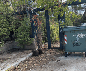 Τον μεγάλο φθινοπωρινό καθαρισμό του Δάσους με εθελοντές μέλη πραγματοποίησαν οι «Φίλοι του Δάσους Συγγρού» Τον μεγάλο φθινοπωρινό καθαρισμό του Δάσους με εθελοντές μέλη πραγματοποίησαν οι «Φίλοι του Δάσους Συγγρού»