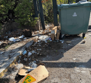 Τον μεγάλο φθινοπωρινό καθαρισμό του  Δάσους με εθελοντές μέλη πραγματοποίησαν οι «Φίλοι του Δάσους Συγγρού»