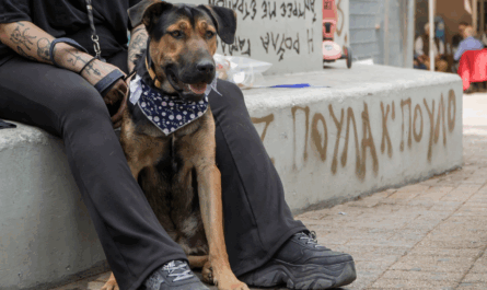 Η εκδήλωση, που διεξήχθη το Σάββατο 4 Οκτωβρίου 2025 στην πλατεία του κέντρου, αποσκοπούσε πρωτίστως στο να εξασφαλίσει στα αδέσποτα κατοικίδια μια νέα αρχή. Ο σκοπός ήταν να βρουν μια ζωή γεμάτη στοργή και προστασία.