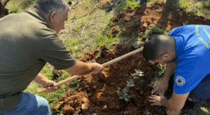 Βριλήσσια: Στα άνω Βριλήσσια  στις παρυφές της οδού Αγίου Σεβαστιανού φυτεύτηκαν125 νέες βελανιδιές Βριλήσσια: Στα άνω Βριλήσσια  στις παρυφές της οδού Αγίου Σεβαστιανού φυτεύτηκαν125 νέες βελανιδιές