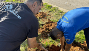 Βριλήσσια: Στα άνω Βριλήσσια  στις παρυφές της οδού Αγίου Σεβαστιανού φυτεύτηκαν125 νέες βελανιδιές Βριλήσσια: Στα άνω Βριλήσσια  στις παρυφές της οδού Αγίου Σεβαστιανού φυτεύτηκαν125 νέες βελανιδιές
