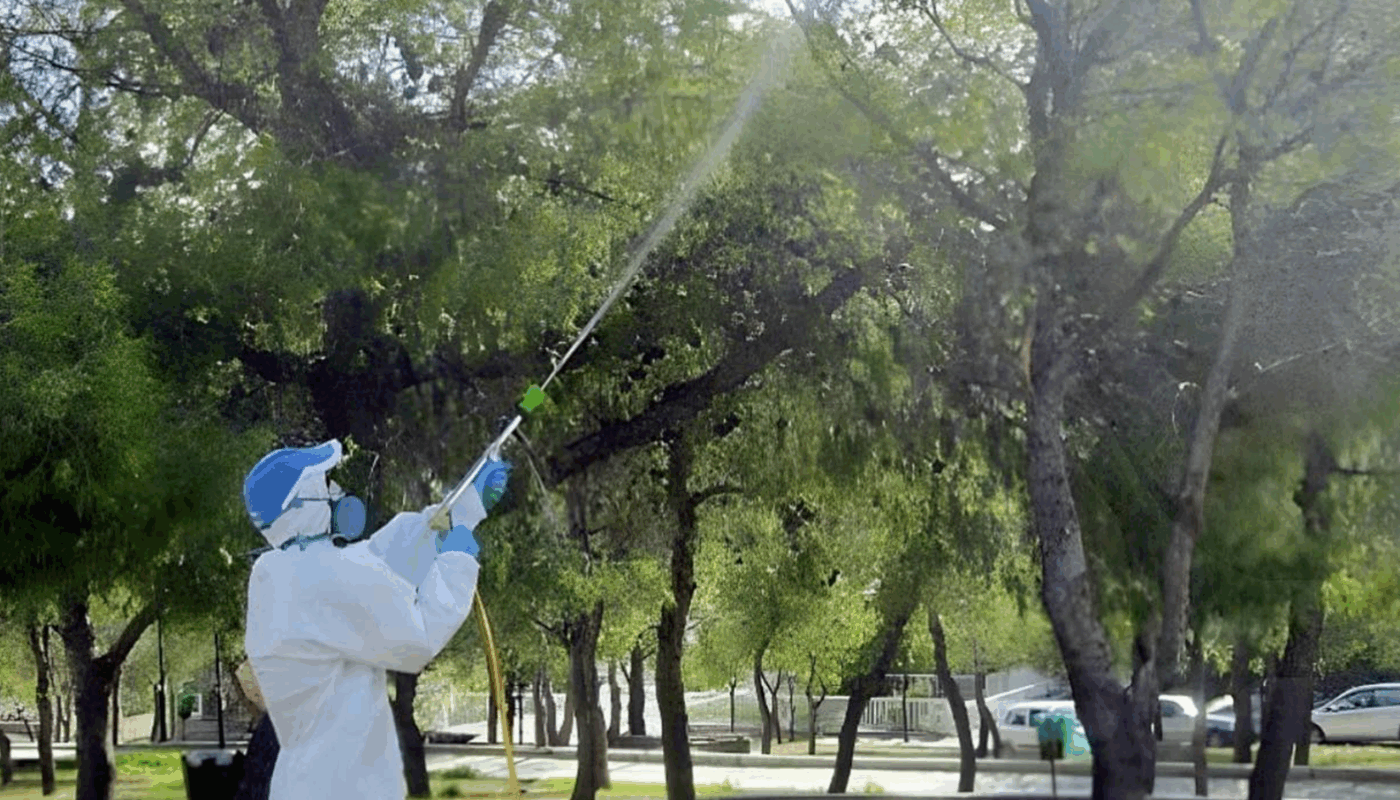 Ξεκίνησαν οι απαραίτητοι ψεκασμοί στα πεύκα της πόλης μας για την αντιμετώπιση της κάμπιας