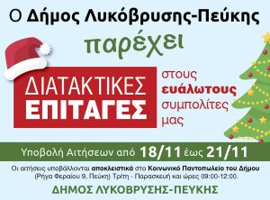  Διανομή διατακτικών επιταγών για αγορά προϊόντων από σούπερ μάρκετ ενόψει Χριστουγέννων