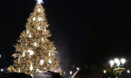 «Η Αθήνα λάμπει» Πανηγυρική φωταγώγηση του Χριστουγεννιάτικου δέντρου στο Σύνταγμα