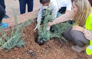 Νέα Φιλαδέλφεια  Νέα Χαλκηδόνα: «Δενδροφύτευση στην οδό Πίνδου» Και αυτή η δέσμευση έγινε πράξη