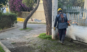 Νέο Ηράκλειο: Φροντίδα και αναβάθμιση του πάρκου στην Οδό Σωκράτους Νέο Ηράκλειο: Φροντίδα και αναβάθμιση του πάρκου στην Οδό Σωκράτους