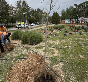 Η υπηρεσία πρασίνου του Δήμου με την εποπτεία του Δημάρχου πραγματοποίησε δράση φυτέματος στην πλατεία Φιλικής Εταιρείας, στο Πάνω Ψαλίδι