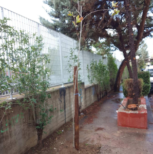 Ηράκλειο Αττικής: Συνεχίζουν οι παρεμβάσεις για περισσότερο πράσινο στην πόλη Ηράκλειο Αττικής: Συνεχίζουν οι παρεμβάσεις για περισσότερο πράσινο στην πόλη
