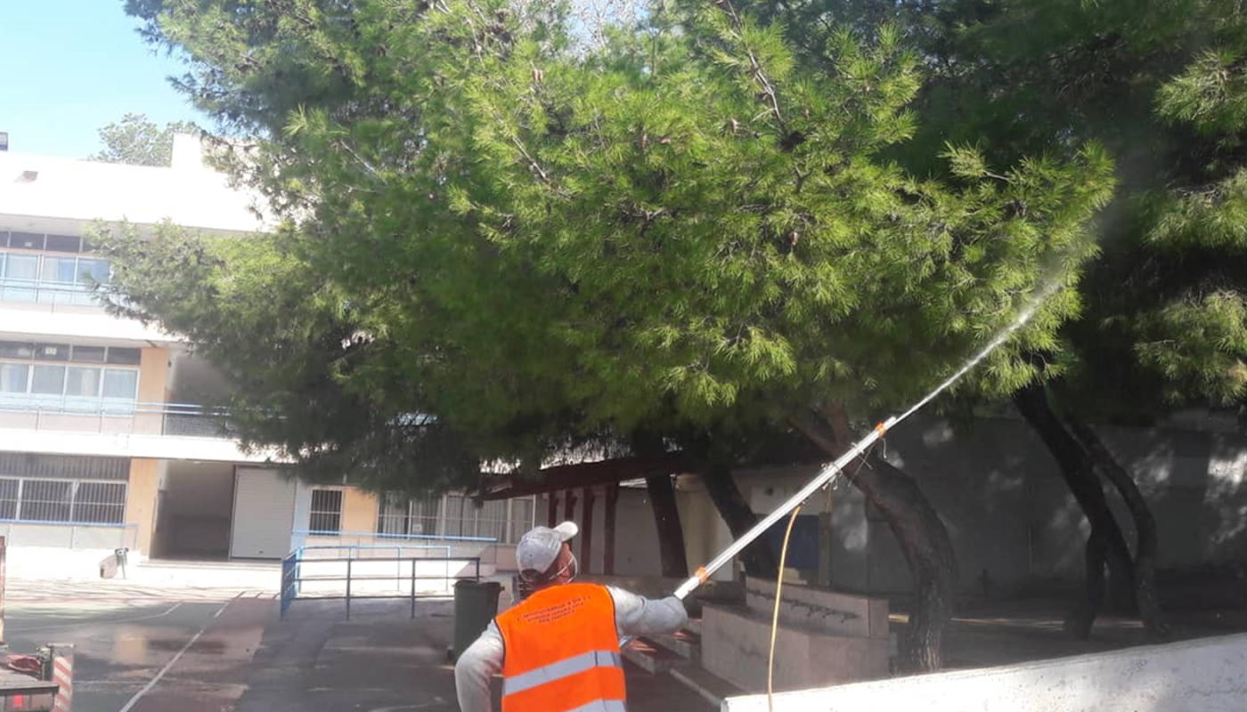 Ηράκλειο Αττικής: Εποχικοί ψεκασμοί για τον περιορισμό του πληθυσμού της κάμπιας των πεύκων