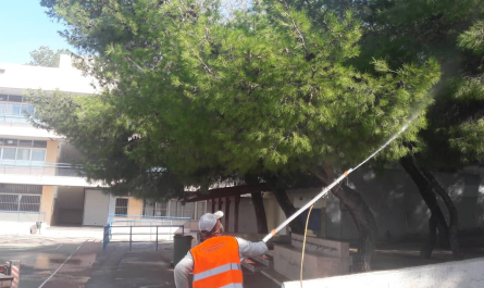 Ηράκλειο Αττικής: Εποχικοί ψεκασμοί για τον περιορισμό του πληθυσμού της κάμπιας των πεύκων