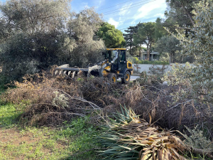 Μαραθώνας: Εντατικές αποκομιδές κλαδιών από τις 5 έως τις 14/11 από την Υπηρεσία Καθαριότητας Μαραθώνας: Εντατικές αποκομιδές κλαδιών από τις 5 έως τις 14/11 από την Υπηρεσία Καθαριότητας