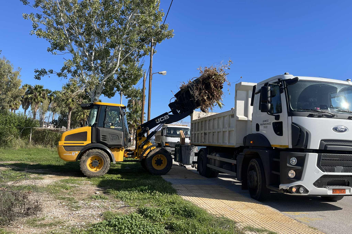 Μαραθώνας: Εντατικές αποκομιδές κλαδιών από τις 5 έως τις 14/11 από την Υπηρεσία Καθαριότητας