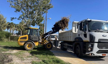 Μαραθώνας: Εντατικές αποκομιδές κλαδιών από τις 5 έως τις 14/11 από την Υπηρεσία Καθαριότητας