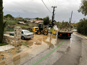 Μαραθώνας: Εντατικές αποκομιδές κλαδιών  από τις 25/11 έως και 29 /11 από την Υπηρεσία Καθαριότητας