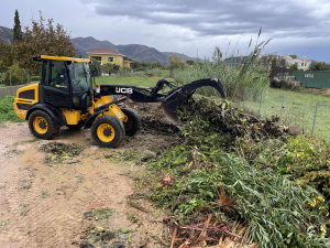 Μαραθώνας: Εντατικές αποκομιδές κλαδιών  από τις 25/11 έως και 29 /11 από την Υπηρεσία Καθαριότητας
