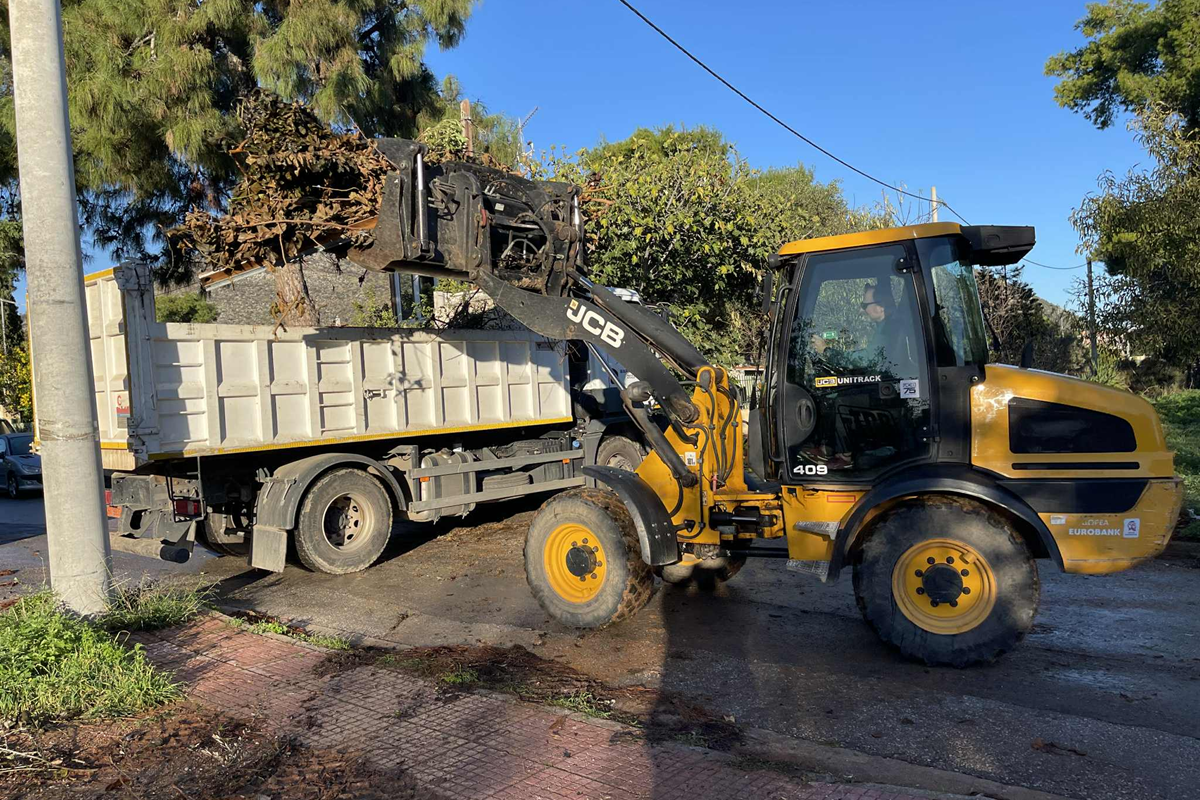 Μαραθώνας: Εντατικές αποκομιδές κλαδιών  από τις 25/11 έως και 29 /11 από την Υπηρεσία Καθαριότητας