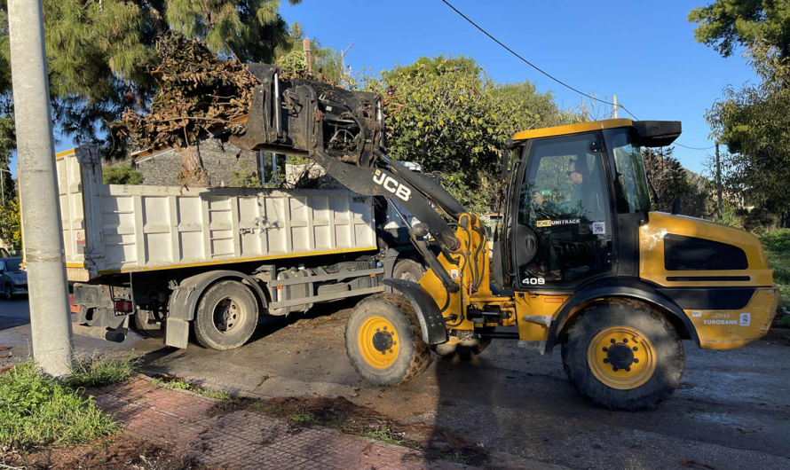 Μαραθώνας: Εντατικές αποκομιδές κλαδιών από τις 25/11 έως και 29 /11 από την Υπηρεσία Καθαριότητας