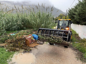 Μαραθώνας: Εντατικές αποκομιδές κλαδιών  από τις 25/11 έως και 29 /11 από την Υπηρεσία Καθαριότητας