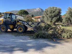 Μαραθώνας: Εντατικές αποκομιδές κλαδιών από τις 5 έως τις 14/11 από την Υπηρεσία Καθαριότητας Μαραθώνας: Εντατικές αποκομιδές κλαδιών από τις 5 έως τις 14/11 από την Υπηρεσία Καθαριότητας