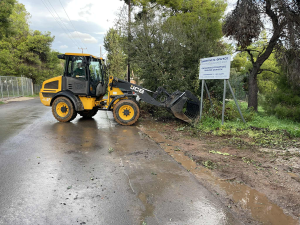 Μαραθώνας: Εντατικές αποκομιδές κλαδιών  από τις 25/11 έως και 29 /11 από την Υπηρεσία Καθαριότητας
