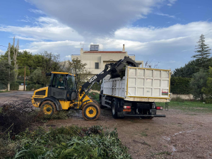 Μαραθώνας: Εντατικές αποκομιδές κλαδιών  από τις 25/11 έως και 29 /11 από την Υπηρεσία Καθαριότητας