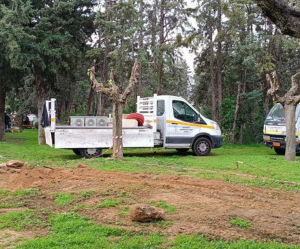 Μαρούσι: Η πόλη κάθε μέρα που περνά, γίνεται περισσότερο φωτεινό και ασφαλές Μαρούσι: Η πόλη κάθε μέρα που περνά, γίνεται περισσότερο φωτεινό και ασφαλές