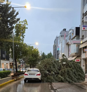 Νέα Ιωνία: «Κακοκαιρία  Adel» δέντρο έπεσε επάνω σε διερχόμενο αυτοκίνητο στην Λ. Ηρακλείου