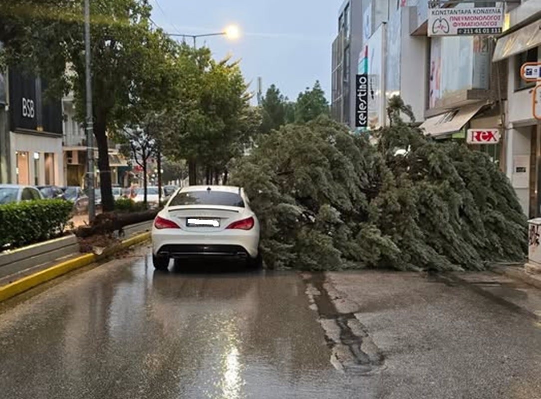 Νέα Ιωνία: «Κακοκαιρία  Adel» δέντρο έπεσε επάνω σε διερχόμενο αυτοκίνητο στην Λ. Ηρακλείου